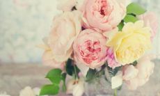 如何通过一些温馨浪漫的话语来哄女朋友开心,让她感到被爱和关心?