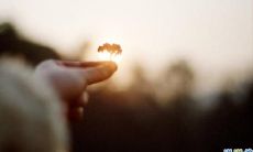 古风句子，让人心碎到无法承受的痛楚，仿佛要撕心裂肺