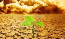 给你分享适用于朋友圈心碎情感的一系列句子，让你轻松借助文字化解痛苦！