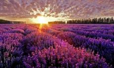 使用下列提示可改写题目：