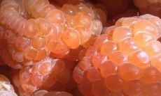 揭秘那些小众却惊艳的文案究竟有哪些绝妙之处