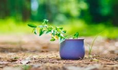 失望婚姻中，表达对老公不满的心情短语盘点