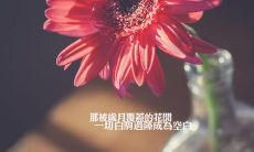 抒发情感的长篇伤感句子,让心烦不堪的情绪得以宣泄!