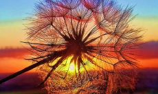 如何用言语劝慰一位情绪烦躁的男性?