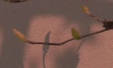 小红书上备受关注的引人落泪的伤感文案