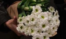 富有仙气的最温柔的句子集合，让你体验纯粹的温馨与美好！