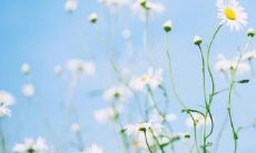 如何在心情烦躁的情况下表达爱意？女孩子可以尝试这些表达爱的句子来传达自己的情感