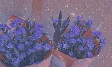 精心挑选的治愈系短句：让心灵温暖复苏的走心句子