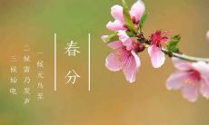 探讨我国传统文化二十四节气中的春分,从历史、气象、民俗等多个方面剖析这个令人期待和令人兴奋的节日