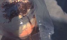 小红书经典语录摘抄：精选的富有启迪和鼓舞的短句和格言