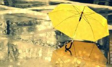 能够导致情绪沉重、内心疲惫并促使人们产生消极和消沉情绪的难过句子