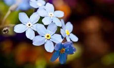 压力过大，让我感到无助和落泪的沉重言论