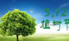 分享植树节心情的各类短语与句子，适用于发布于朋友圈的植树节朋友圈说说
