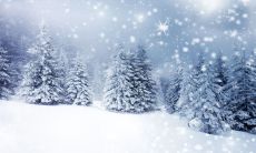 寒冬暖心话:温暖挥洒全文,让人倍感生活的美好!