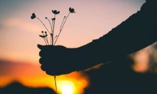 在人生中遇见的启示性、感人至深、引发深刻思考的句子们：它们对我们的影响和启发！