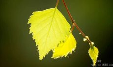 一些关于坚定信念和强大意志力的启迪人心的名人名言