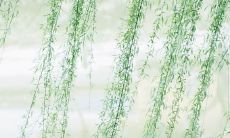 餐饮领域的正能量：汇集了让人思考、启发与感悟的名言名句