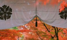 一份摘抄不可缺少的精美原耽语录合辑