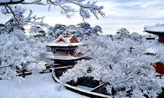 用精彩的文字描绘冬季景色：寒冷季节的大地，银装素裹，万物尽染寒霜，冰花绚烂，飘落雪花漫天飞舞，大自然的雕塑作品在寒意中浮现