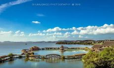 那些充满美感、令人陶醉而又令人感叹心碎的语句