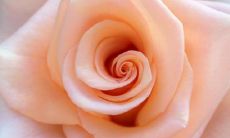 一组感动人心的友情长句,令人感怀不已