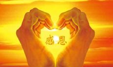 饱含感恩之情的绝美句子，让你深刻体验生命的美好与温馨