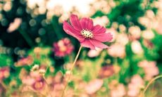 为什么会有讽刺友情长久的话出现呢?