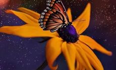 探讨关于友情和饮酒的深刻句子,探索饮酒对友谊长存的影响