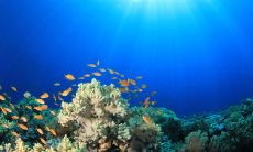 关于人和人之间真正的友情,有哪些令人深思的表达呢?