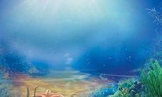 怀念逝去的友谊,倾诉内心情感的句子,表达心中感慨与遗憾