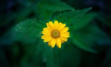 朋友离散,情缘难舍:描述友谊转折点的句子