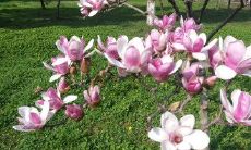 如何用美妙的句子来表达友情的深沉情感?