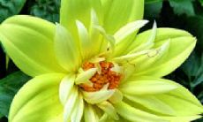 一部富有情感、感人至深的小说——《平凡的世界》中,描述友情的语句感人肺腑、深刻细致!