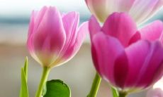 友情的持久坚守:一系列抒情句子表达心底情感