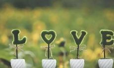 转变为:收录大量有趣的土味情话,助力男士成功撩妹的完整指南