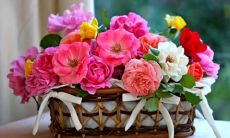 用比喻喻友情为酒的句子,达认同感,明义蕴,内涵深思