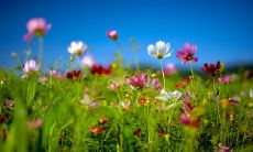 我的朋友们让我感到失望的话题,让我们来谈一谈