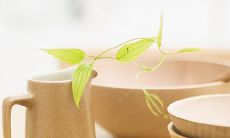 畅游水上乐园的快乐经历——带你感受我销魂的心境和沁人心脾的回忆!