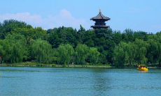 如何运用优美的句子提升文章品质?