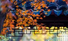 欢快畅游,尽享人生——开怀畅游时的心情赞叹