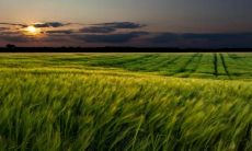 汇聚欢乐与喜悦,尽情庆祝幸福的人们