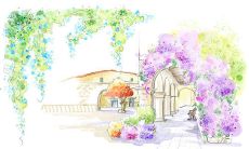 精心描写人物内心情感的开心语句,让读者充分感受到生活的美好