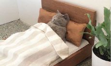 一些有趣的语句和幽默笑话,用来让您的朋友感到愉悦和愉快