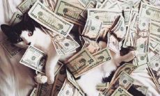 一句让人听了非常开心的话语,能够带来满心欢喜的幸福感