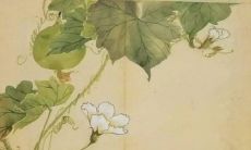 诗经祝福爱情的经典句子：用古代智慧和感性表达，讴歌人类对爱情的向往，为爱情祈祷的典雅句式