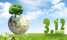 “种一棵树，造福万代”——庆祝植树节的常用谚语