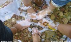 当QQ签名成为轻视友情的言论:揭示人际关系中的考验与挑战