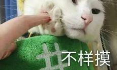 掀起社交媒体热潮的最受欢迎的幽默化营销文案短句集合