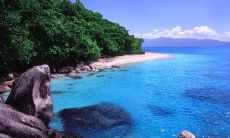 放弃友情,因为深陷于爱情的句子言辞