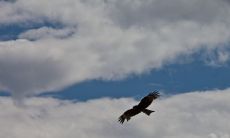 成功的箴言：用勇气和毅力缔造光辉胜利